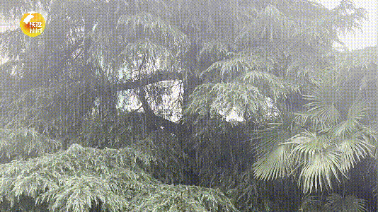 未来三天，陕西有强降水天气过程，局地短时暴雨，具体预报→