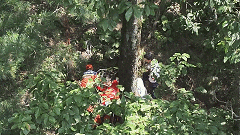 身份确认：她已死亡！