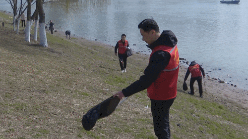 南京又现新物种