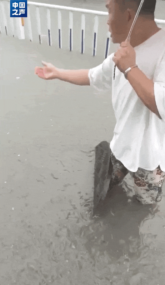 暴雨致排水井盖被冲开，担心车辆和行人发生意外，河南漯河一市民化身雨中“警示牌”