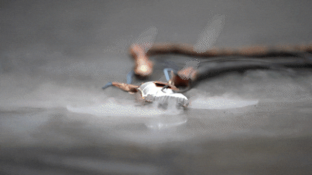 立即停止使用!这个东西,你可能有→ 立即停止使用!这个东西,你可能有→