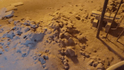 “蜂”狂大场面!居民家中惊现满地马蜂窝 “蜂”狂大场面!居民家中惊现满地马蜂窝