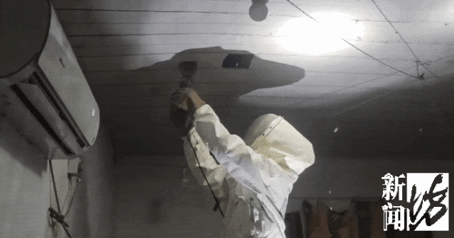 窗外密密麻麻，已进入高发季……千万别去碰！