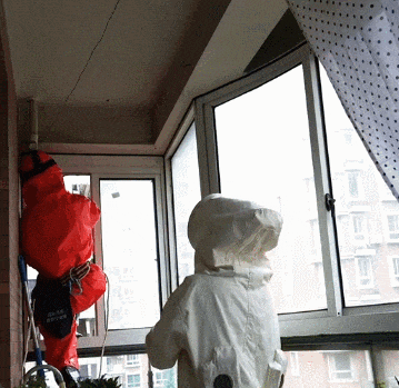 窗外密密麻麻，已进入高发季……千万别去碰！