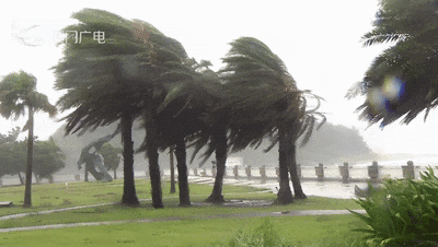 “格美”直角掉头后登陆，已致台湾2死201伤！10余省将现强降雨，上海一活动暂停