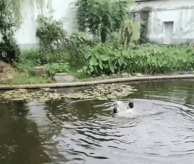 这对“云贵CP”，你们火了！