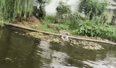 这对“云贵CP”，你们火了！