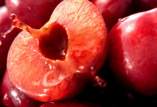 甘肃“麻辣烫”又开启新赛道! 甘肃“麻辣烫”又开启新赛道!