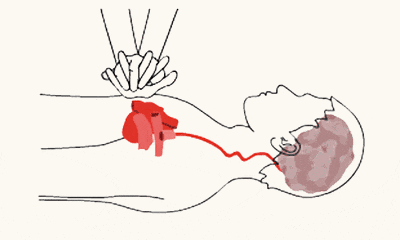 命在旦夕!女演员这一举动冲上热搜 命在旦夕!女演员这一举动冲上热搜