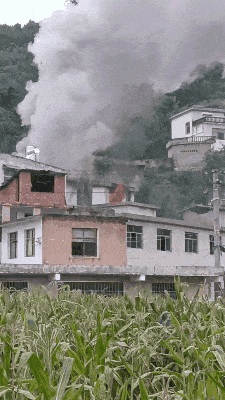 玩到“无家可归”！4岁“熊孩子”暑假玩TA，不慎烧家