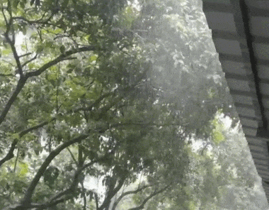 刚刚！杭州气温暴降10℃！