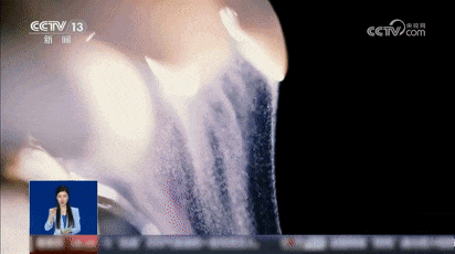 苹果上长出的蘑菇居然能吃？！是苹果味的吗？专家详解→