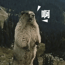 暗藏巨大风险，请远离！