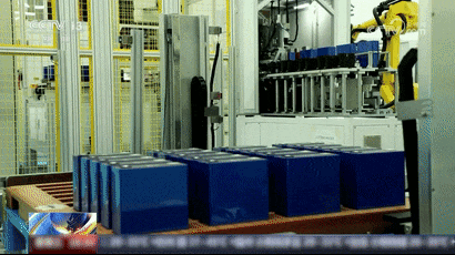 “忙啥呢?”“给虎鲸搓澡呢!” “忙啥呢?”“给虎鲸搓澡呢!”