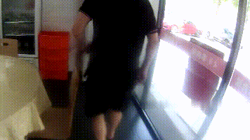 “巨型乌龟”在禅城出没，身份不简单！