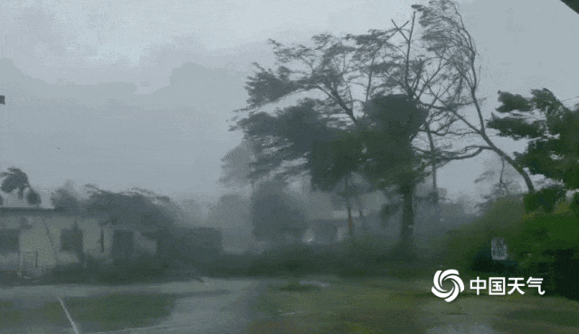 台风红色预警！下周武汉迎来雷雨+降温，高温低至……