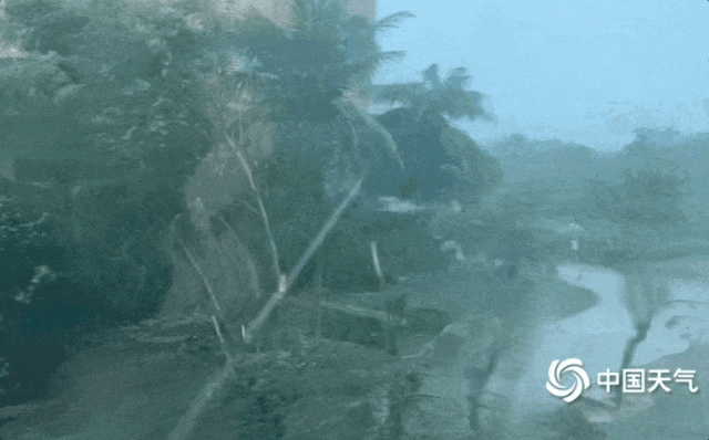 台风红色预警！下周武汉迎来雷雨+降温，高温低至……