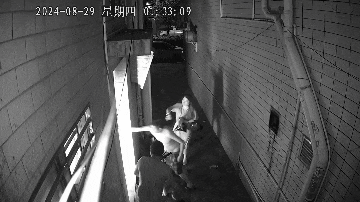 曝光！监控拍下男子违法行为，这个坏习惯你有吗？