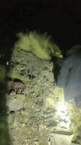 两名游客涉险被困 民警深山救援20小时