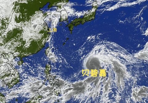 台风“贝碧嘉”强度增强,将提前进入东海!这一天,上海或有较明显风雨→ 台风“贝碧嘉”强度增强,将提前进入东海!这一天,上海或有较明显风雨→