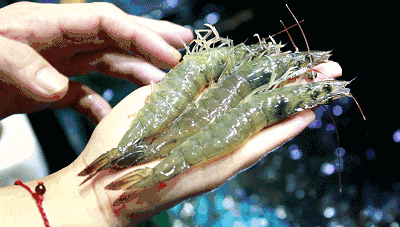 女子在超市捞鱼被刺致八级伤残，索赔22万余元！法院判了