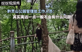 事发知名景区!女游客被猴群抱臀掀裙,景区回应:无计可施… 事发知名景区!女游客被猴群抱臀掀裙,景区回应:无计可施…