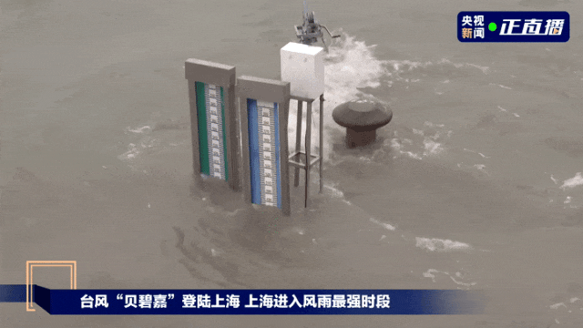 “贝碧嘉”来了！75年以来登陆上海最强台风，如何防范？