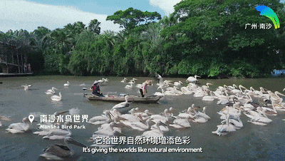 同比增长280%！越来越多外国人来南沙