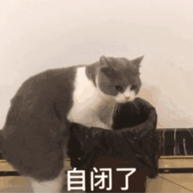 莞莞类卿?终究是逃不过 莞莞类卿?终究是逃不过