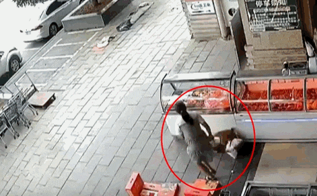 一恶犬扑咬幼童,狗主人已找到 一恶犬扑咬幼童,狗主人已找到