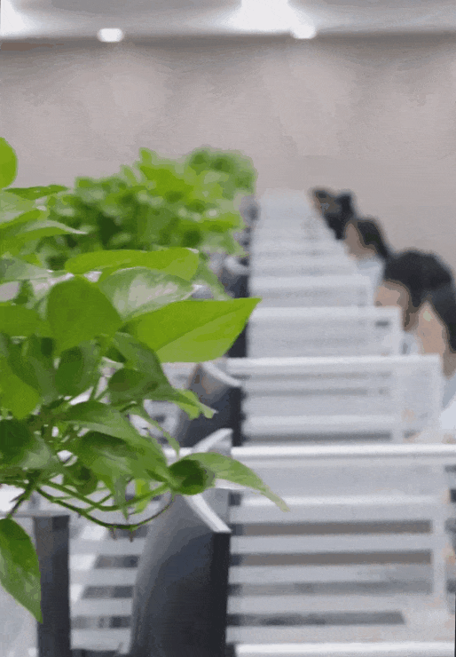 找工作,挺急的!80后宝妈用手语打了这个电话…… 找工作,挺急的!80后宝妈用手语打了这个电话……