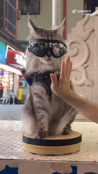 一觉醒来,长沙又上热搜啦! 一觉醒来,长沙又上热搜啦!