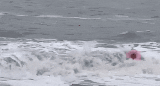 生死时速，大浪卷走母女……