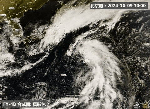 19号台风“百里嘉”生成！