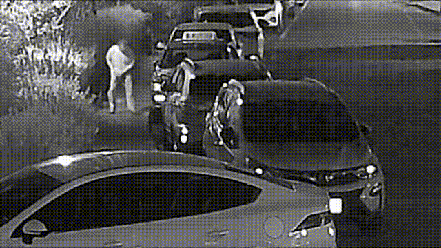 天津男版“容嬷嬷”落网 天津男版“容嬷嬷”落网