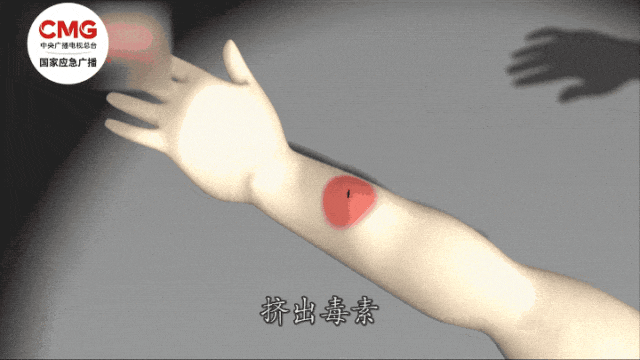 毒液可致命！紧急提醒：遇到它，立即远离！
