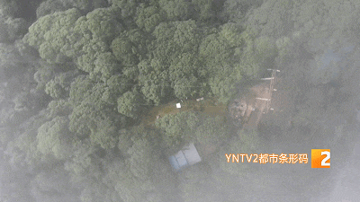 哀牢山,他们用不同方式守护着…… 哀牢山,他们用不同方式守护着……