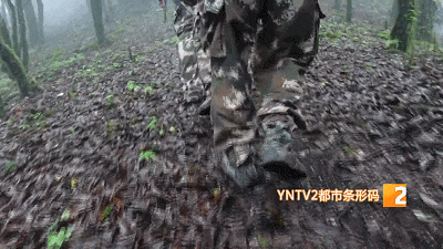 哀牢山,他们用不同方式守护着…… 哀牢山,他们用不同方式守护着……