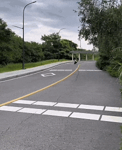 小伙压弯炫技被举报,被查时称是“虚荣心作祟” 小伙压弯炫技被举报,被查时称是“虚荣心作祟”