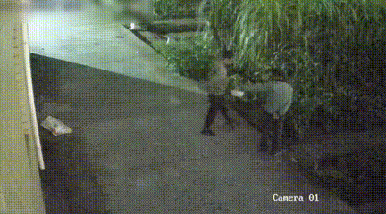 土家禽只卖30元一只，民警：卖的真是土货，但……