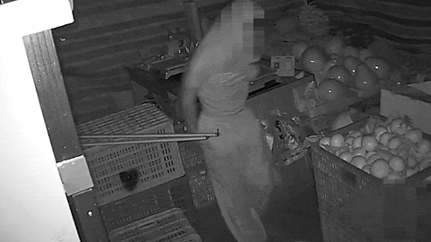 蒙住头就有用了？男子“掩耳盗铃”被拘！