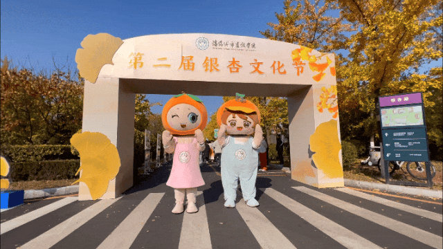 沈阳又一所大学宣布！今起三天，无需预约！除了赏银杏，还能逛展馆！