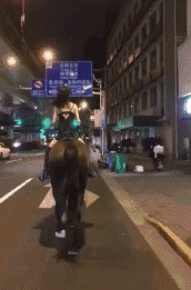 凌晨的上海，7匹马溜达在马路上！查明了：它们来自→