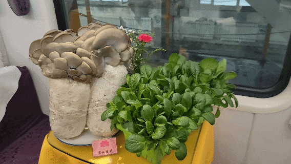 在火车餐车上吃现烤羊腿,是一种什么体验 在火车餐车上吃现烤羊腿,是一种什么体验