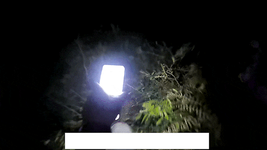 3名“驴友”被困福州深山!警方:本月已接到三次类似警情…… 3名“驴友”被困福州深山!警方:本月已接到三次类似警情……