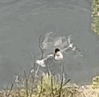 他牺牲了，年仅25岁