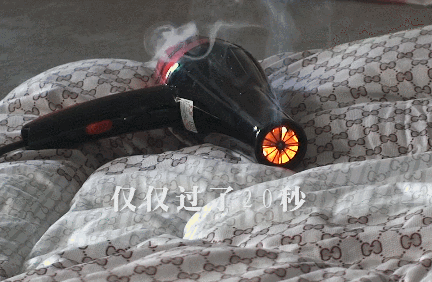 屋主离开后，它将别墅烧得面目全非！