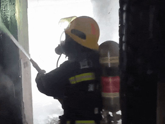 屋主离开后，它将别墅烧得面目全非！