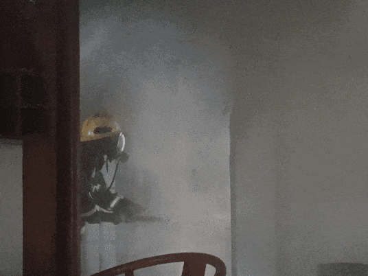 屋主离开后，它将别墅烧得面目全非！