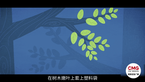 骑行博主再次在野外发现遗体，警方正在调查